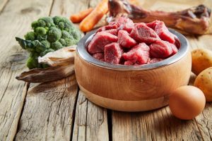 healthy food for a dog