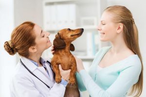 veterinarian check up | Ultimate Pet Nutrition
