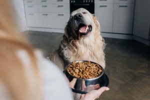 dog food | Ultimate Pet Nutrition