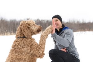 goldendoodle 101 | Ultimate Pet Nutrition