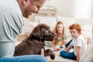 puppy training | Ultimate Pet Nutrition