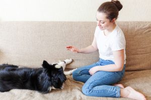 puppy tricks | Ultimate Pet Nutrition
