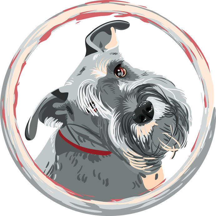 miniature schnauzer health problems | Ultimate Pet Nutrition